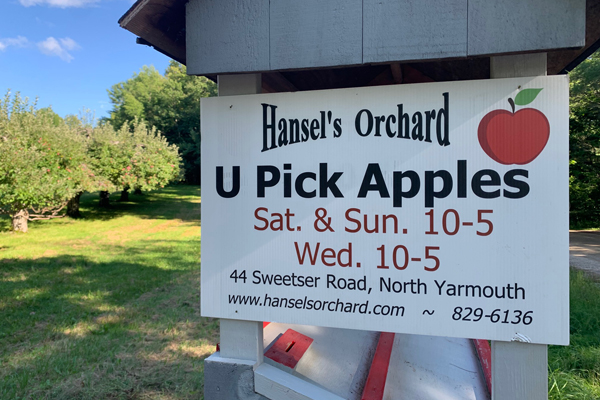 The Hansel's Orchard U Pick Apples sign at the roadside