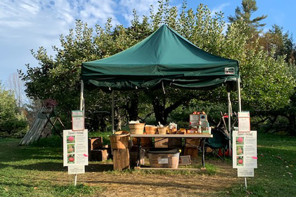 The green-tented farm stand with baskets ready